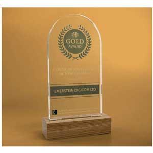 Product image 1 for Acrylic Award with Wood Base