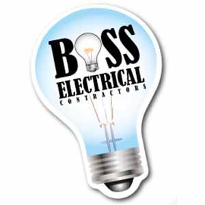 Product image 1 for Electric Light Bulb Magnet