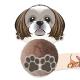 Product icon 1 for Shih-Tzu Card Character Bug